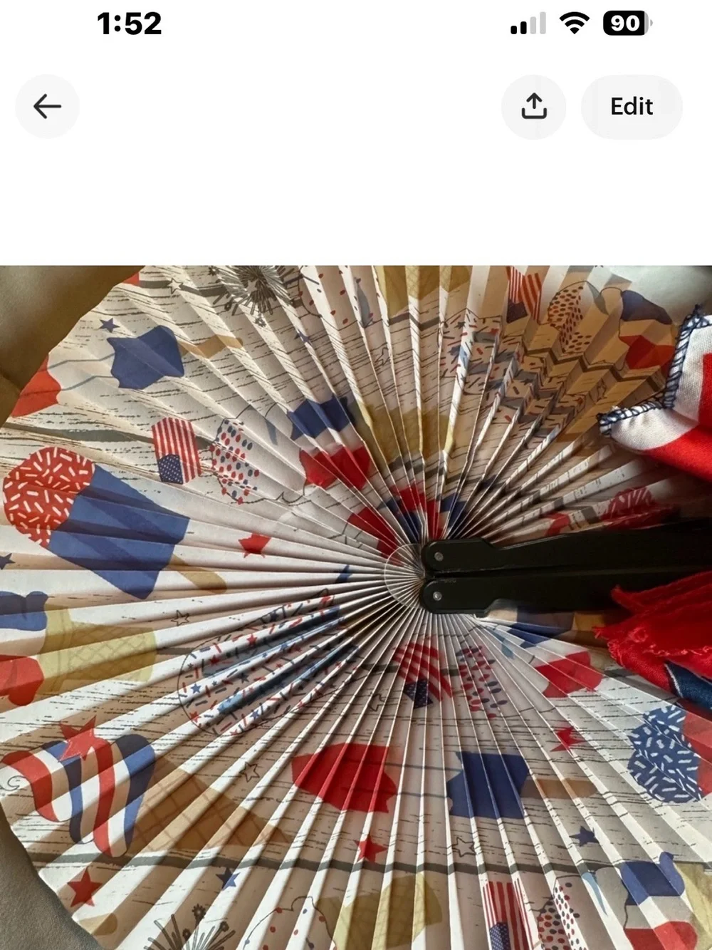 Unbranded Red & Blue Patriotic Party Fan and Bandana Set